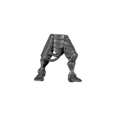 Leg C