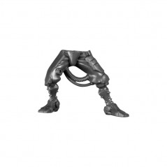 Leg D