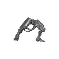 Leg F