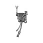 Pack Dorsal D Pack Dorsal D