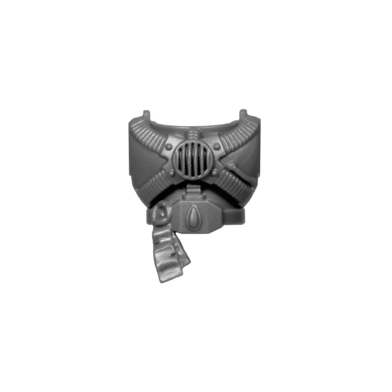 Torso G