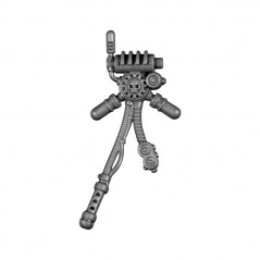 Pack Dorsal C
