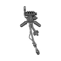 Pack Dorsal D