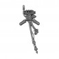Pack Dorsal E Pack Dorsal E