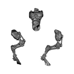 Body A