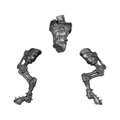 Body C