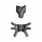 Torse Masculin C Torse Masculin C