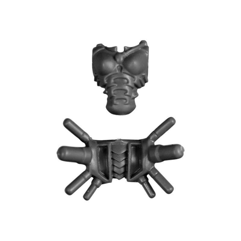 Torse Féminin A Torse Féminin A