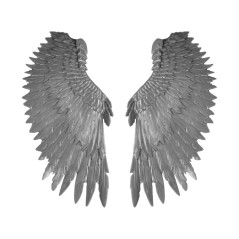 Wings C