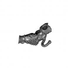 Left Arm D
