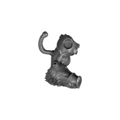 Roght Arm B