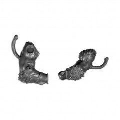 Pair of Arms C
