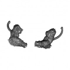 Pair of Arms E