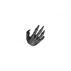 Hand D