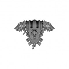 Pack Dorsal B