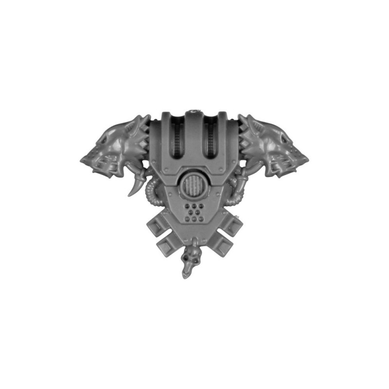 Pack Dorsal B Pack Dorsal B