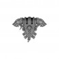 Pack Dorsal B Pack Dorsal B