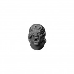 Bare Head A Warhammer 40k Blood Angels bitz