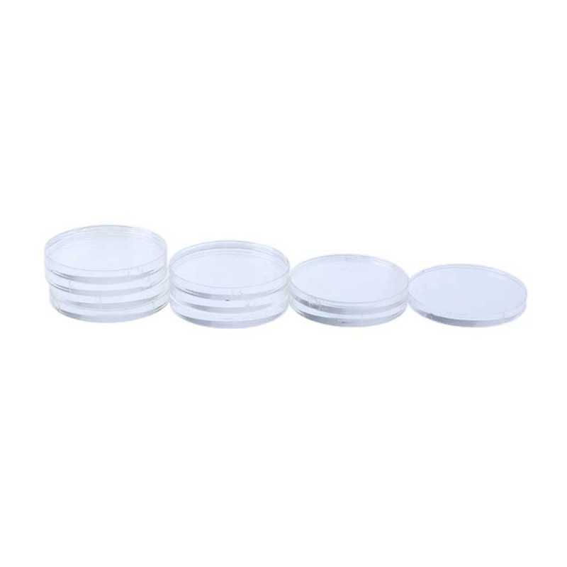 25 mm Clear Transparent Round Base