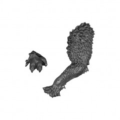 Fenrisian Wolf's Paw B