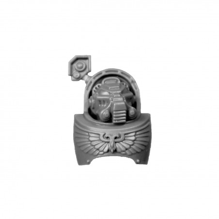 Torse B bitz Blood Angels Warhammer 40k