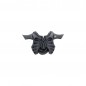 Torse B Torse B
