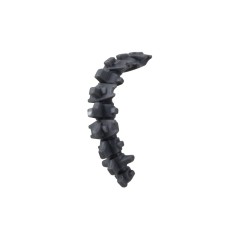 Spine Column A