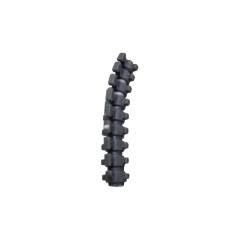 Spine Column B
