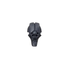 Head