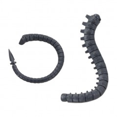 Tail B