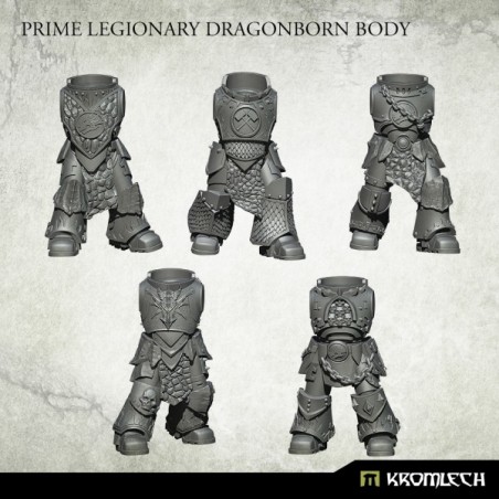 Prime Legionary Dragonborn Bodies