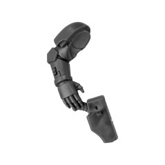 Arm with Holster