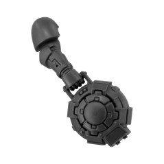 Arm with Haywire Mine