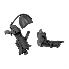 Bolt Carbine with Arm