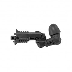Bolt Carbine D