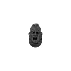 Head without Helmet G