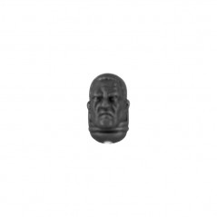 Head without Helmet I