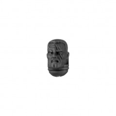 Head without Helmet J