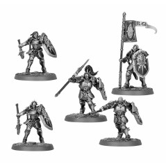 Vindictors x 5