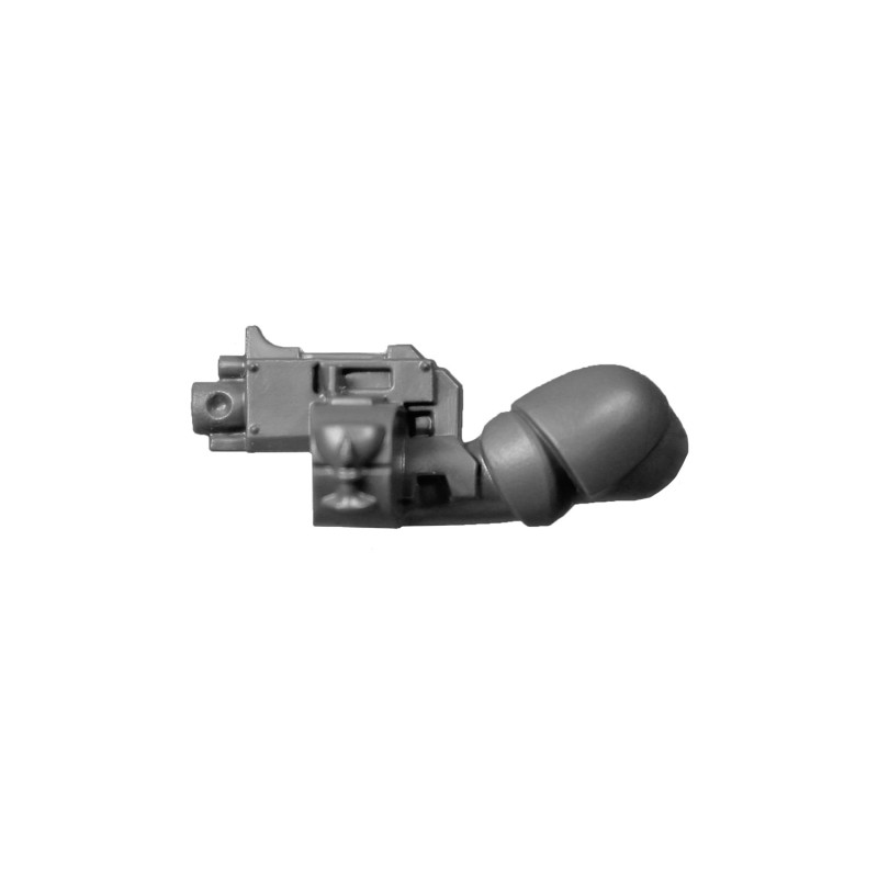 Bolter Angelus D