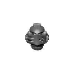 Head B Warhammer Grey Knighs bitz
