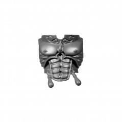 Torso C Blood Angels Space Marines Sanguinary Guard.
