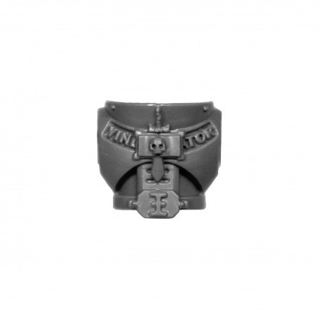 Torso D Warhammer Grey Knighs bitz