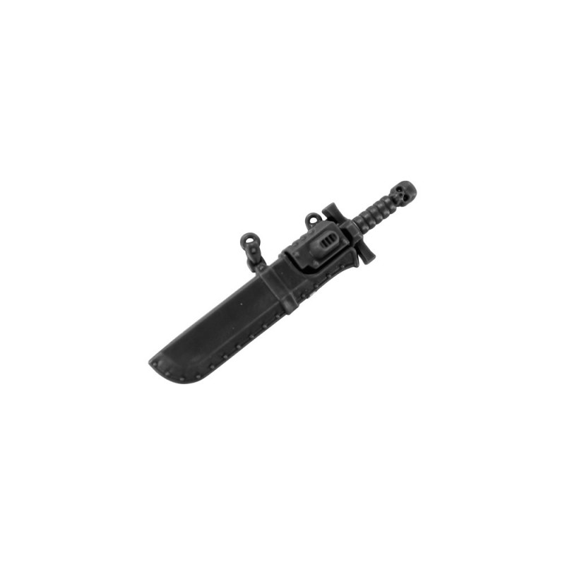 Sword in Scabbard