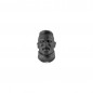Bare Head C Bare Head C