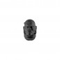 Bare Head G Bare Head G