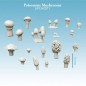Champignons Vénéneux Champignons Vénéneux