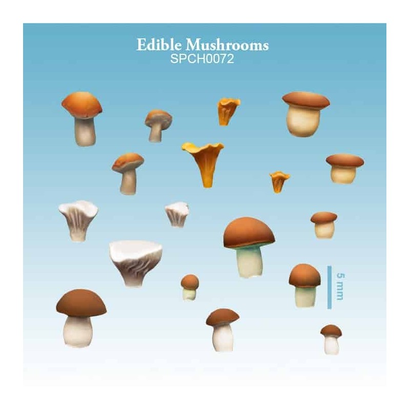 Champignons Comestibles