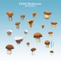 Champignons Comestibles