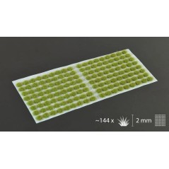 Dry Green (2mm) - Ancienne Référence